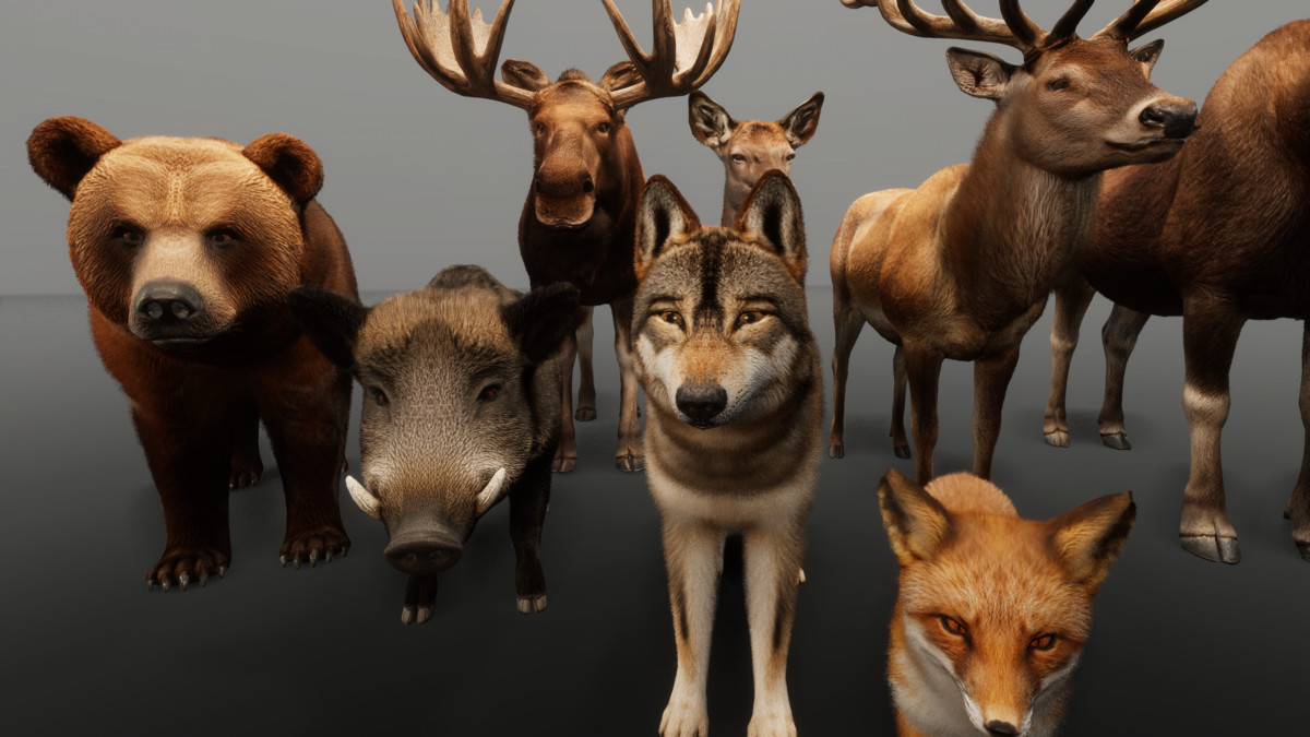 Ultrarealistic Forest Animals - Customizable Fur