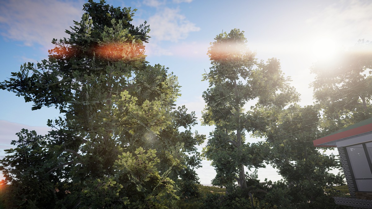 HDRP Tree Bundle 2