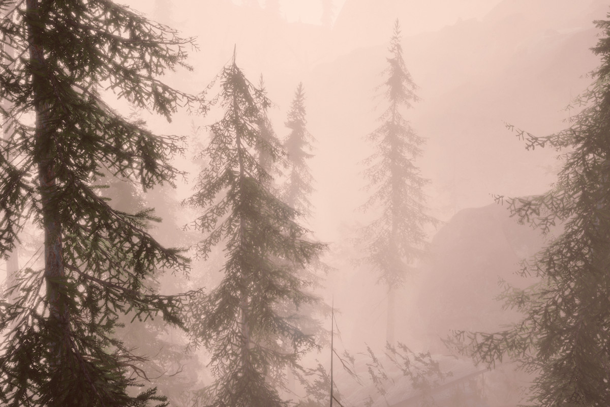 Book of the Dead Forest - URP - Fantasy RPG