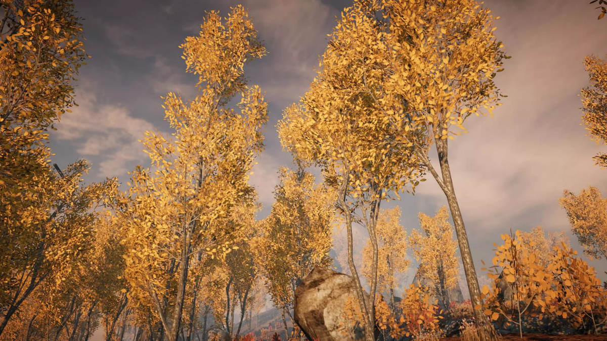 All Tree Bundle (All in One)
