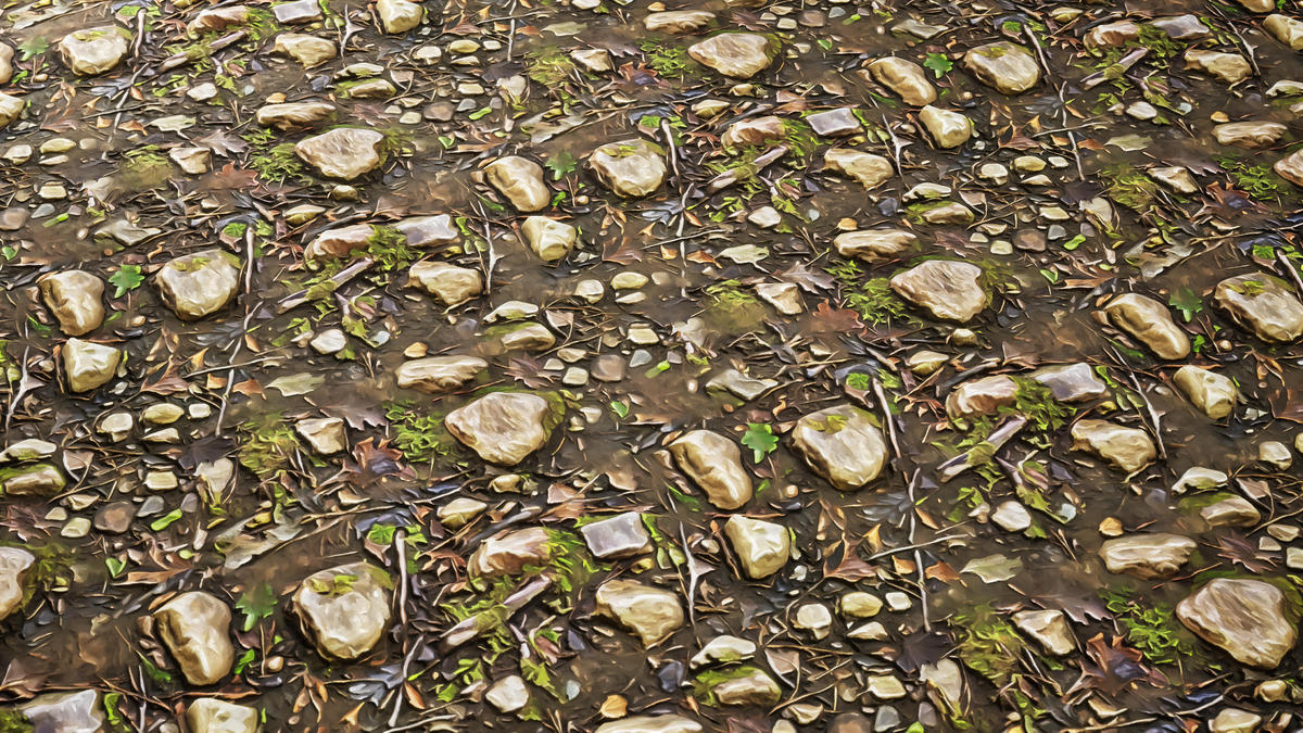 Stylized Materials - Forest Ground 1