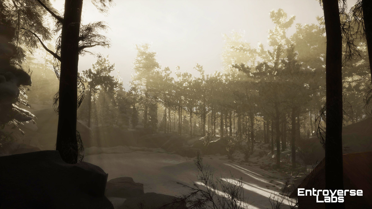 Taiga Biome Environment / Boreal Tundra Forest