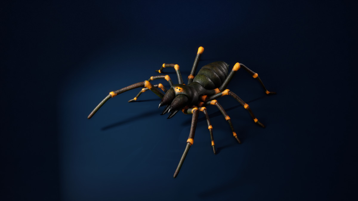 Solifugae Camel Spider, animated and modular monster insect with skins & shader.