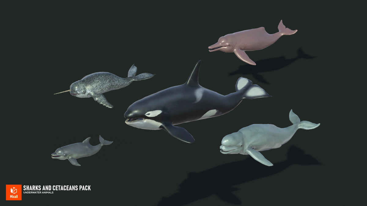Sharks and Cetaceans Pack
