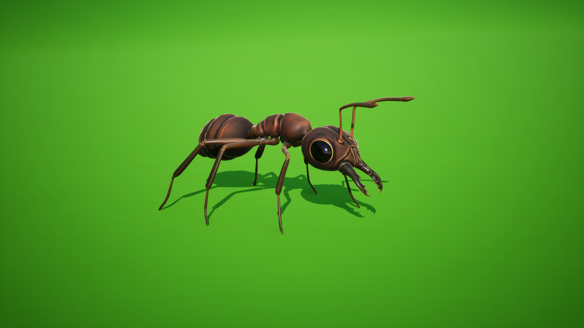 Cordyceps Ant