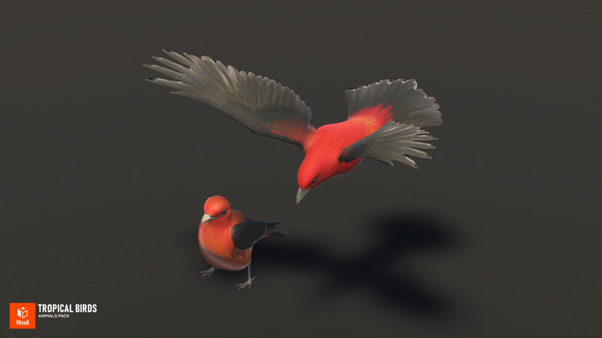 Tropical birds - animals pack