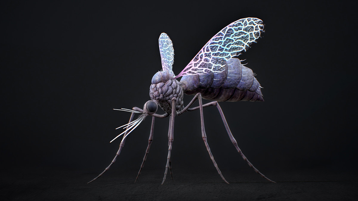 Mosquito Queen Boss - Fantasy Magic Mosquitoes