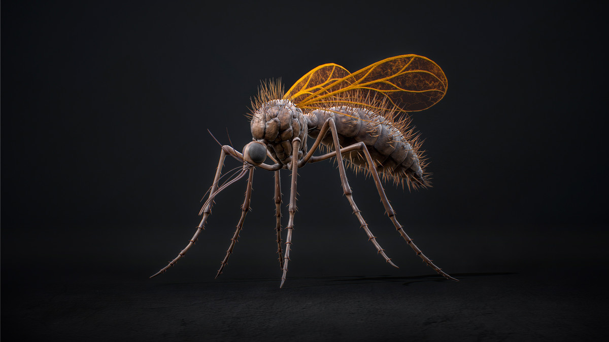 Mosquito Queen - Fantasy Cave Mosquito Boss Creature