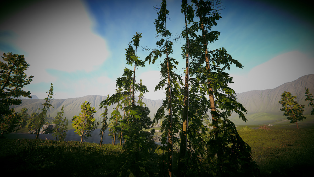 PhotoMode