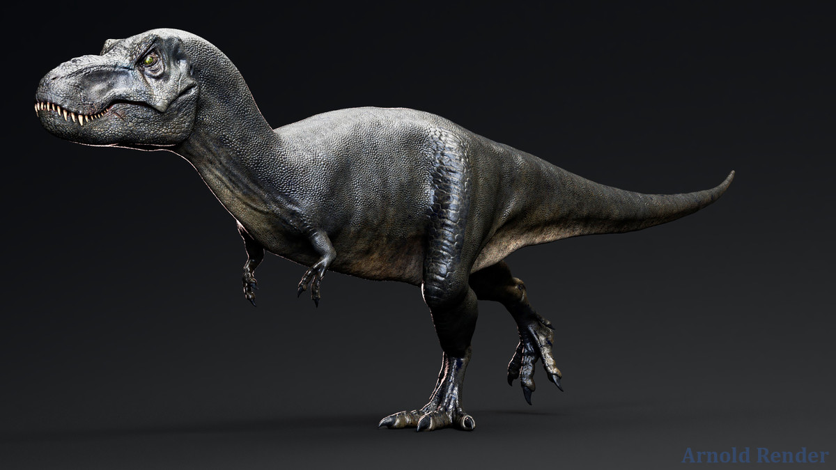 Dinosaur - Sub-Adult TRex