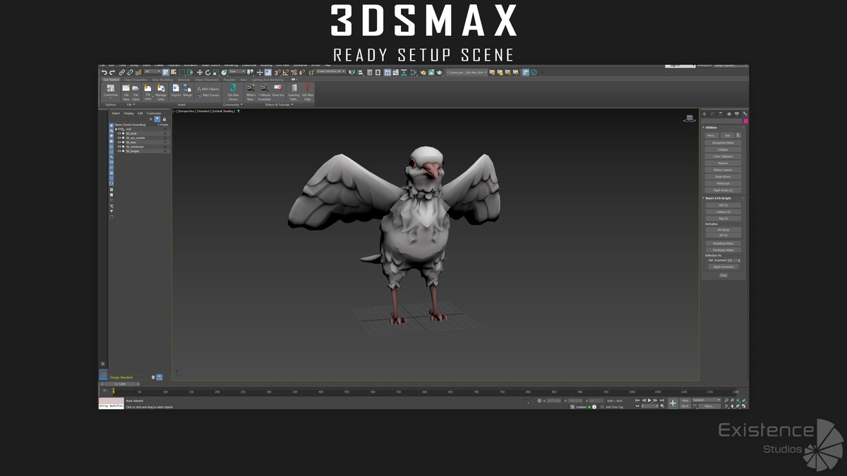 White Pigeon - Flying System - Bird Behavior
