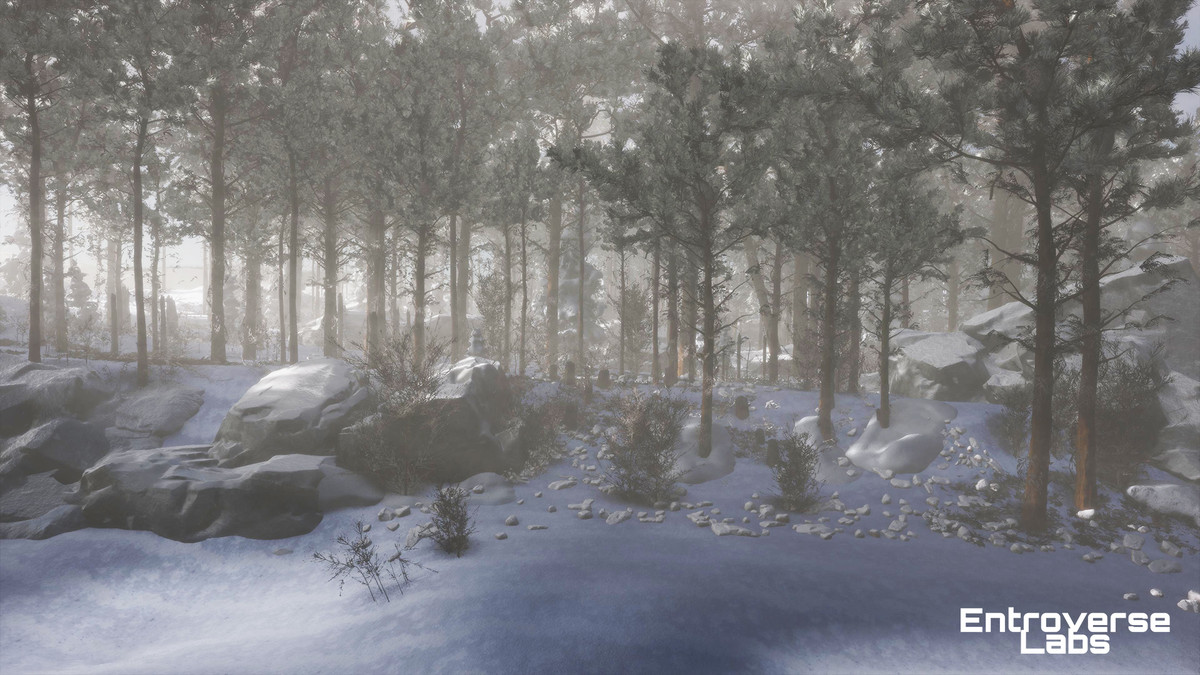 Taiga Biome Environment / Boreal Tundra Forest