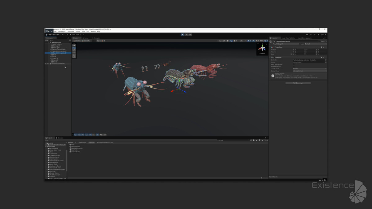 Crab - Coconut Crab - Mantis Shrimp - Sea Turtle - Nautilus - #70