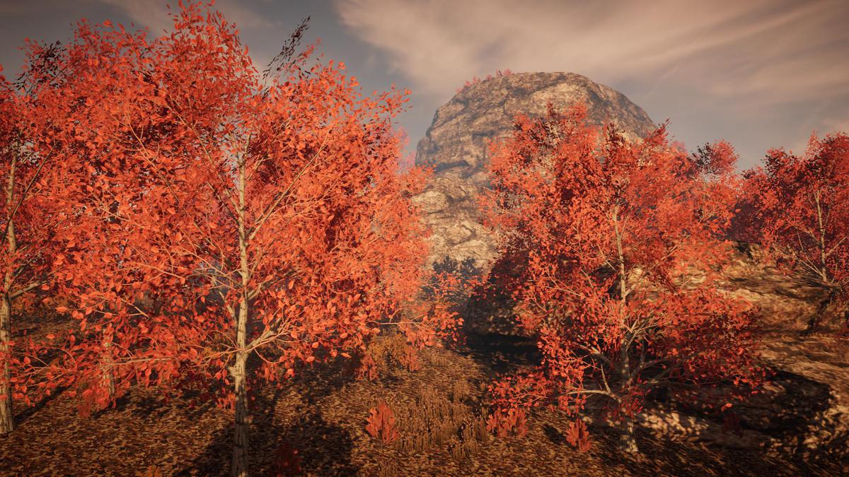 Big Tree Bundle