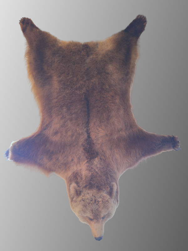 Animal pelts volume 6 bear, kangaroo, tiger, rhino, sheep, goat 4k URP Hair LODs