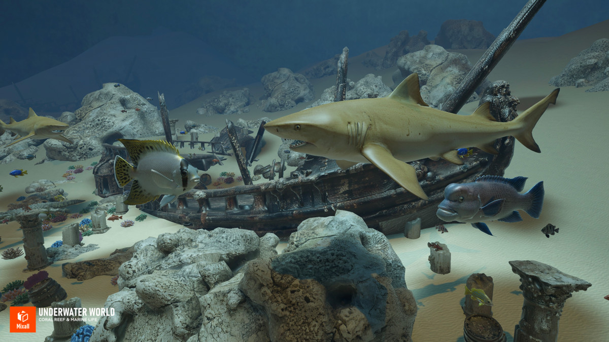 Underwater world - Coral Reef & Marine Life