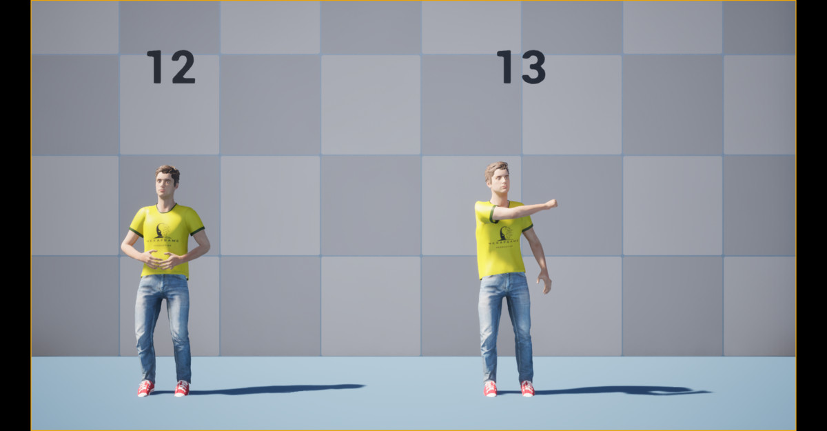 Gesture Emotes Animations