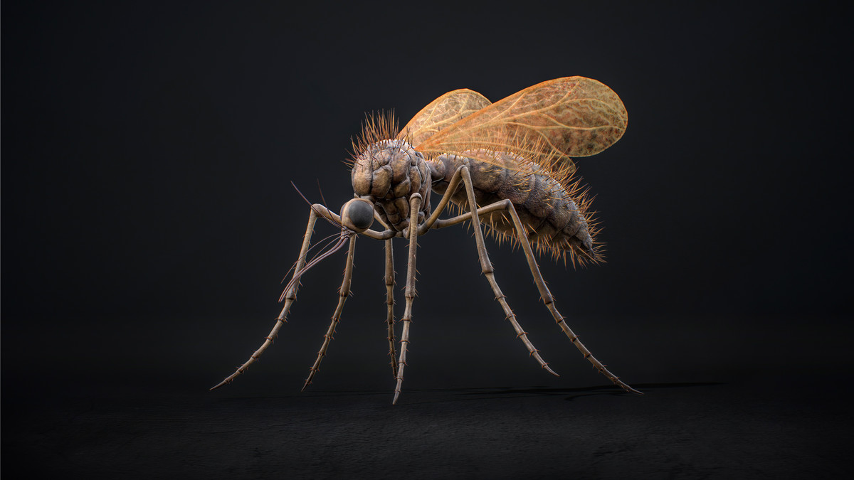 Mosquito Queen - Fantasy Cave Mosquito Boss Creature