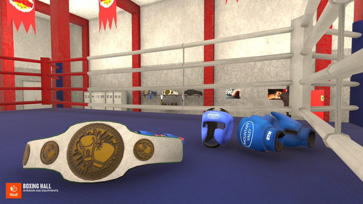 Boxing hall - interior and equipments