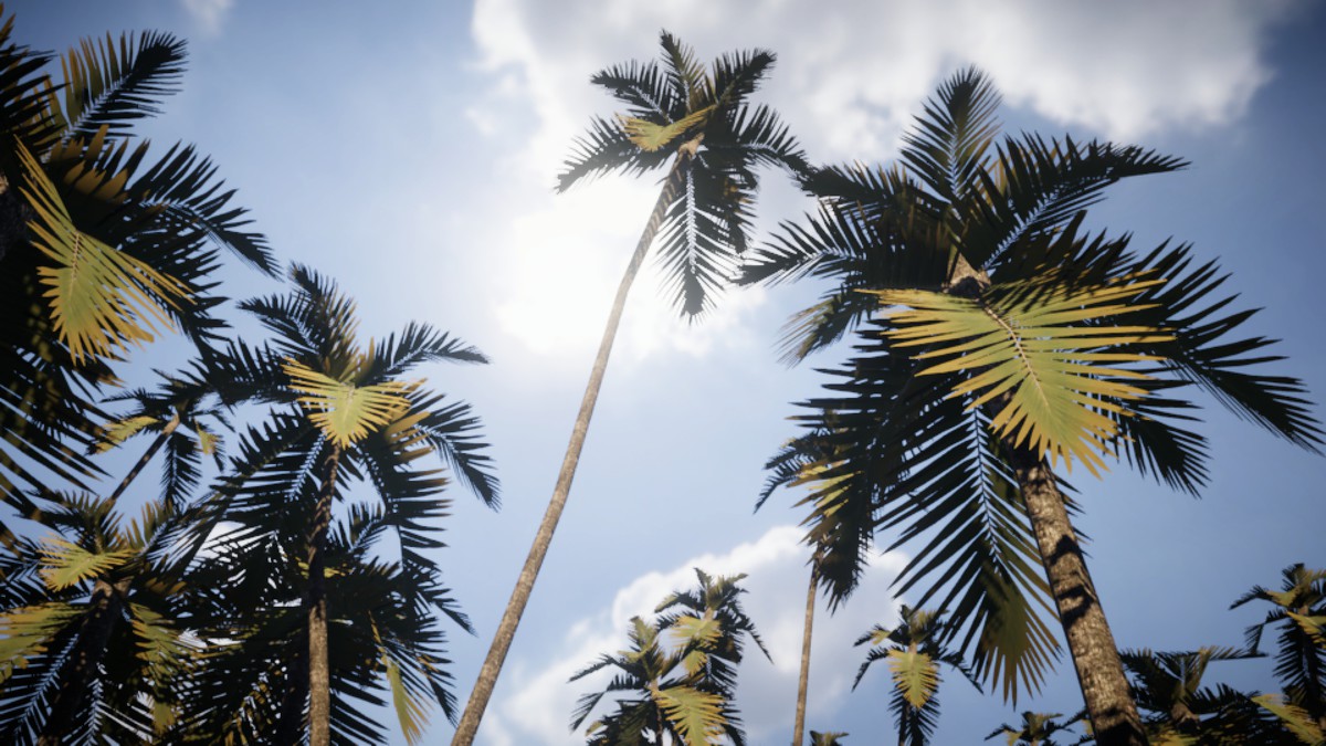 Mobile Palm Tree Bundle (for URP)