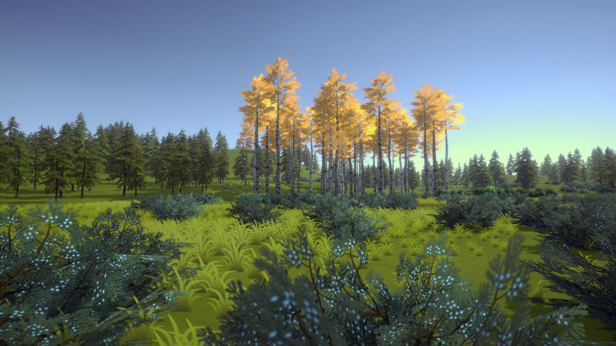 Skog: Temperate