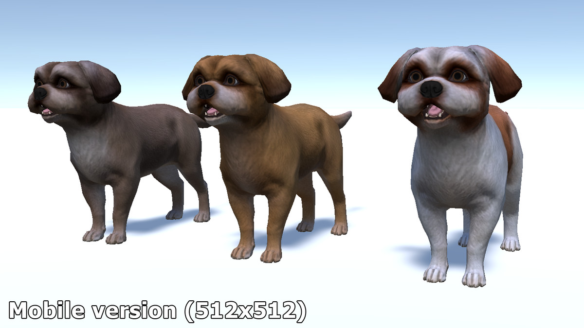 Dog - Shih Tzu