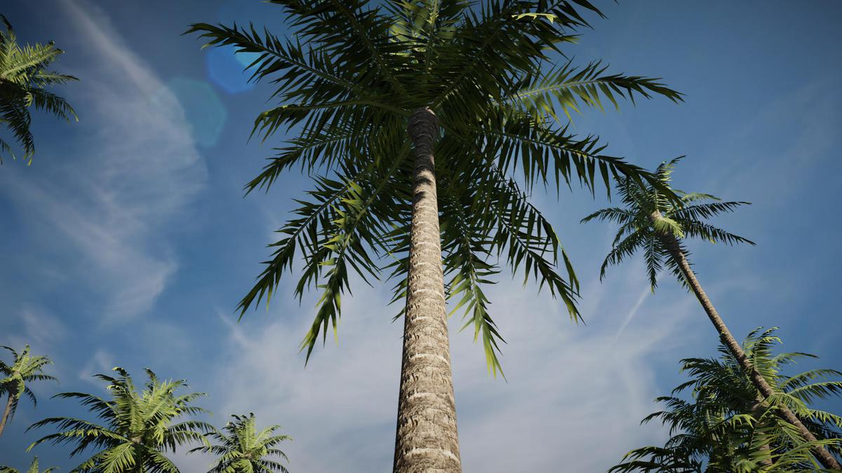 Palm Tree Bundle (Mobile)