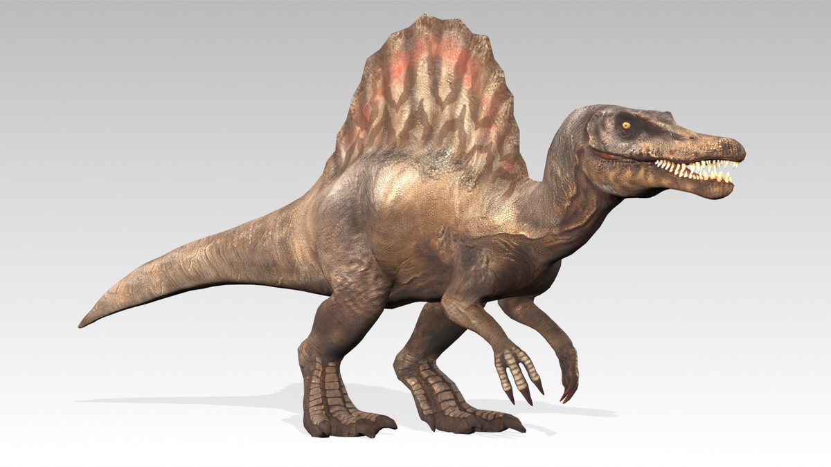 Spinosaurus Animated