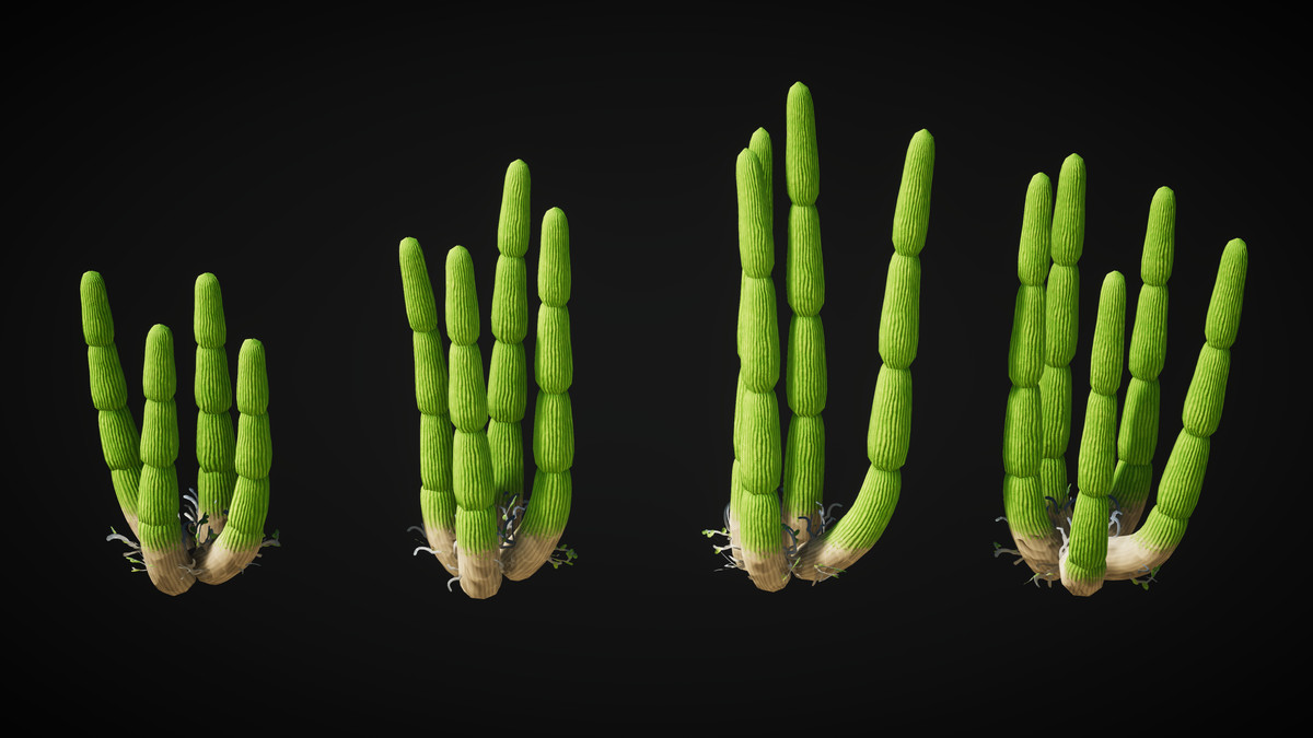 Pure Nature 2 : Mojave Desert