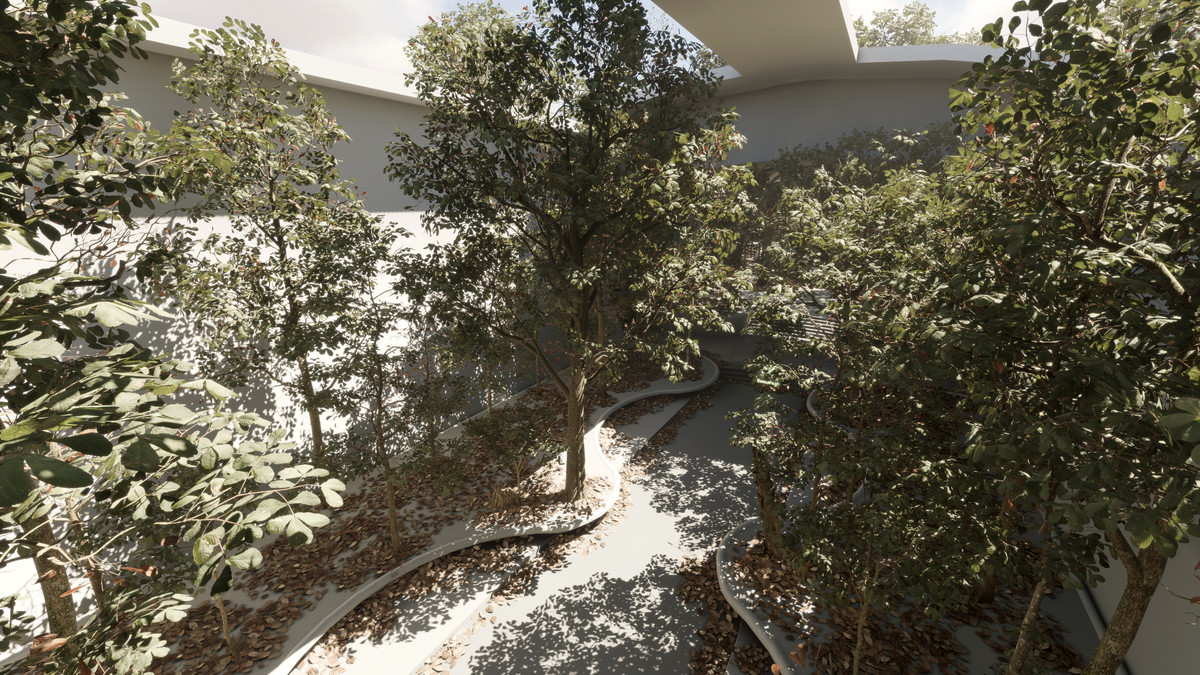 Forest Oak Trees