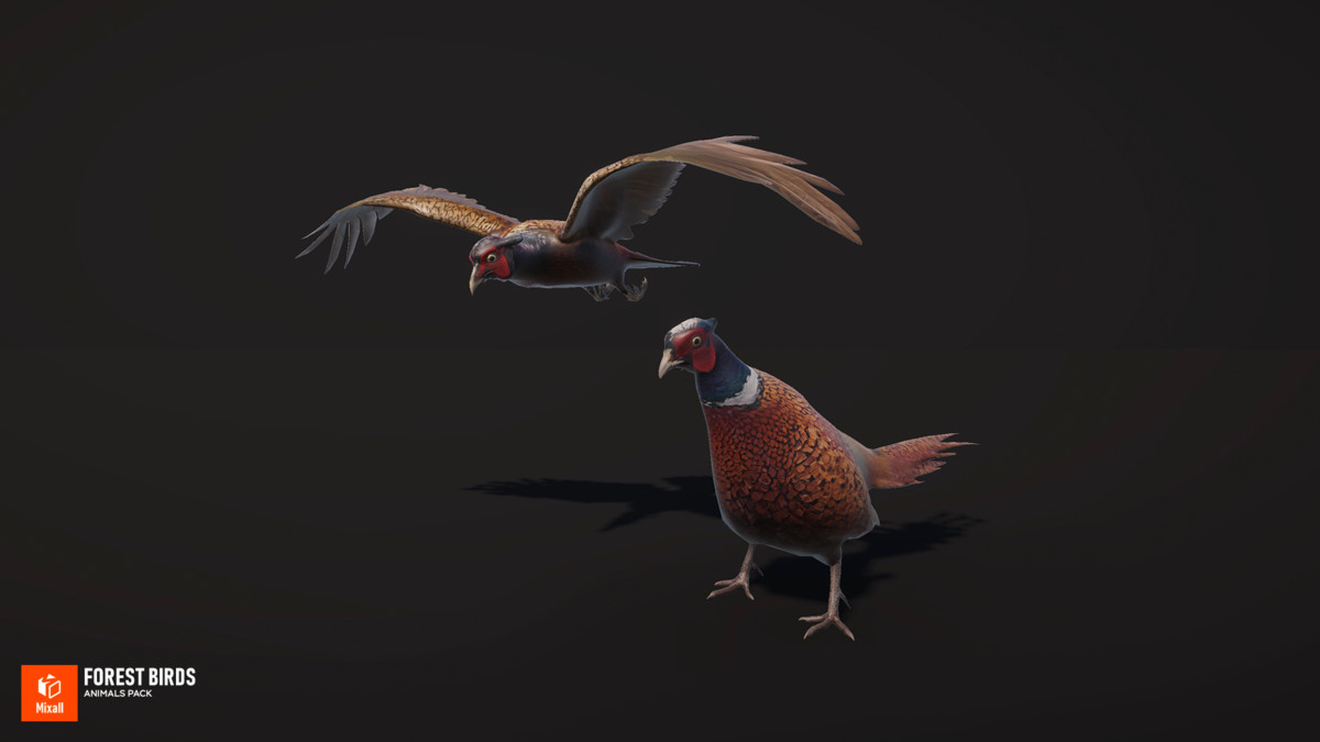 60 Birds - Full Animals Pack