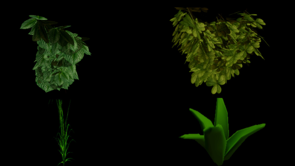 Nature Bundle