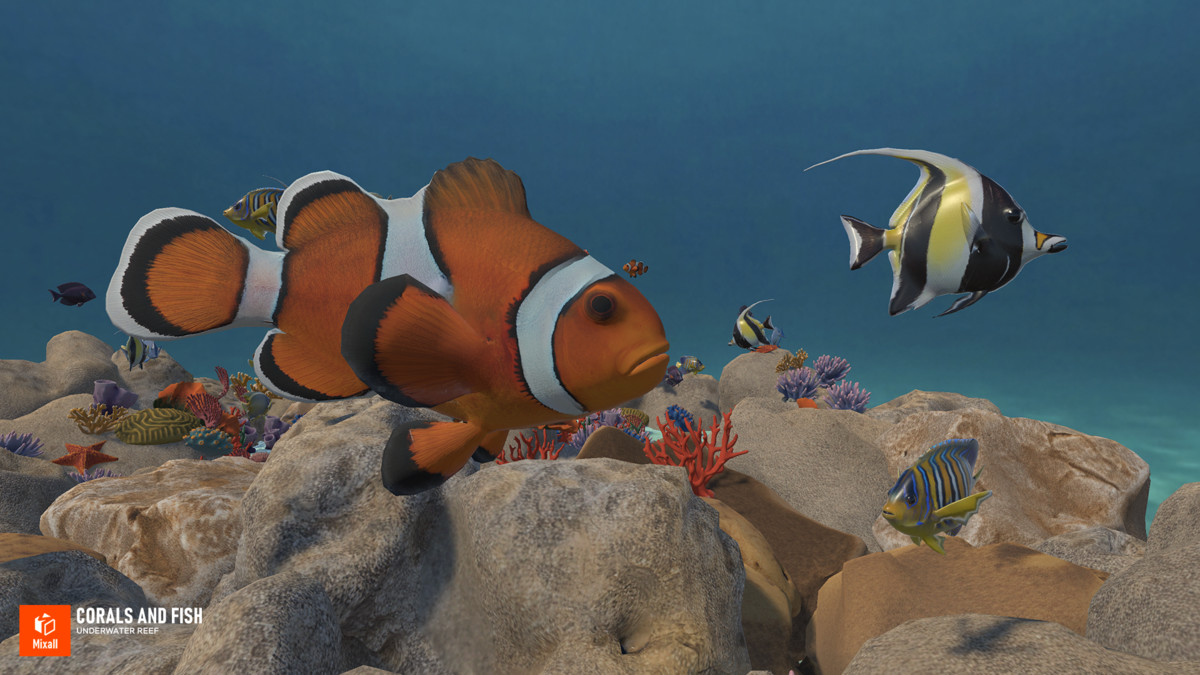 Corals and fish - underwater reef