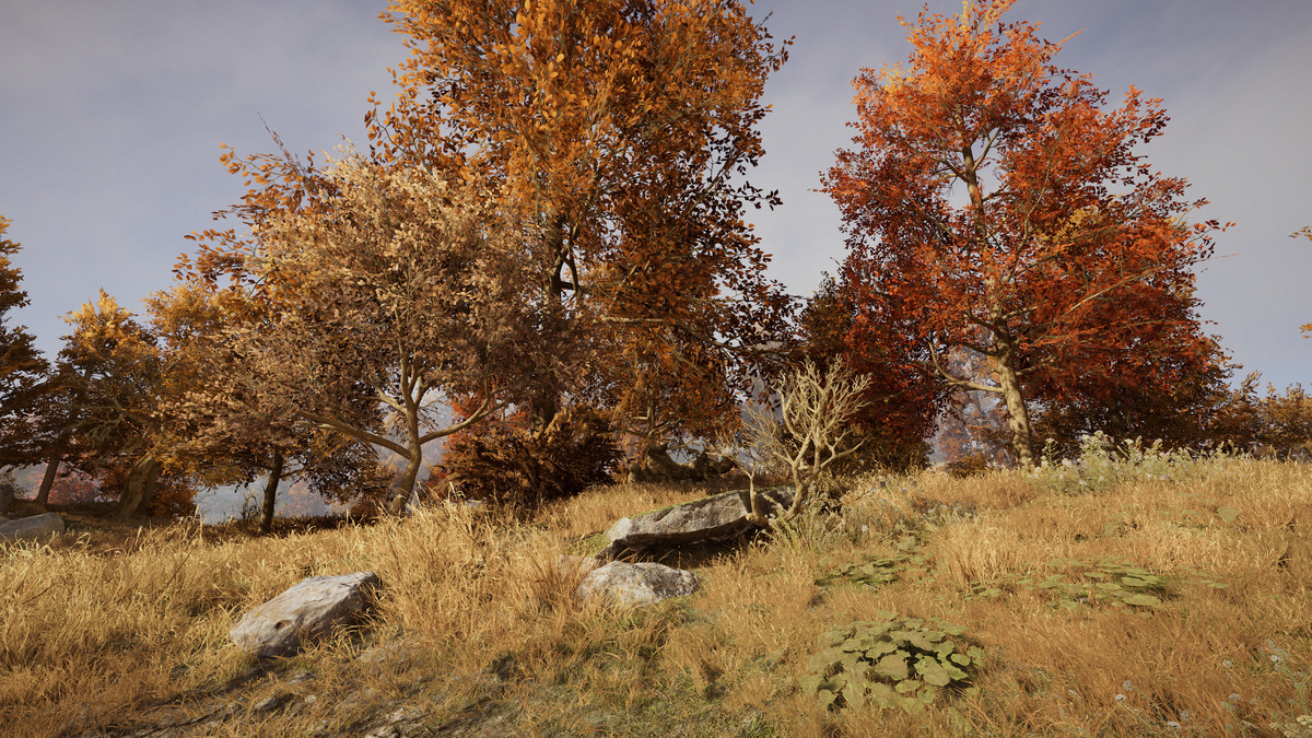 Tobyfredson - Nature Collection