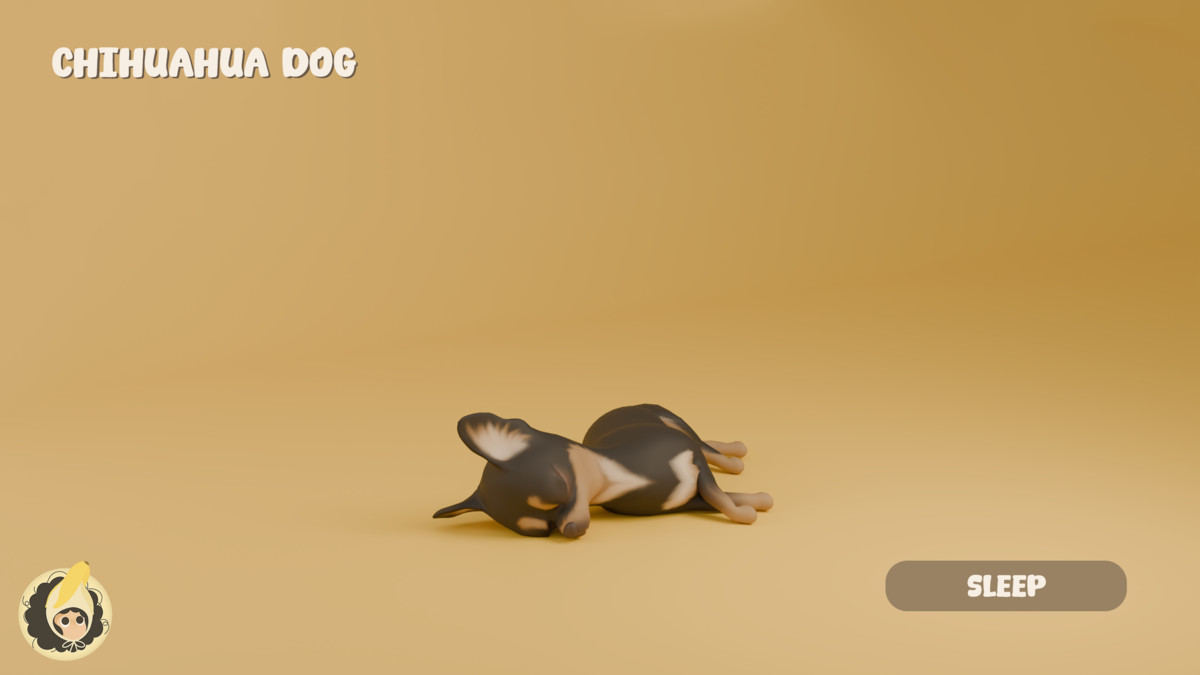 Animated Chihuahua Dog