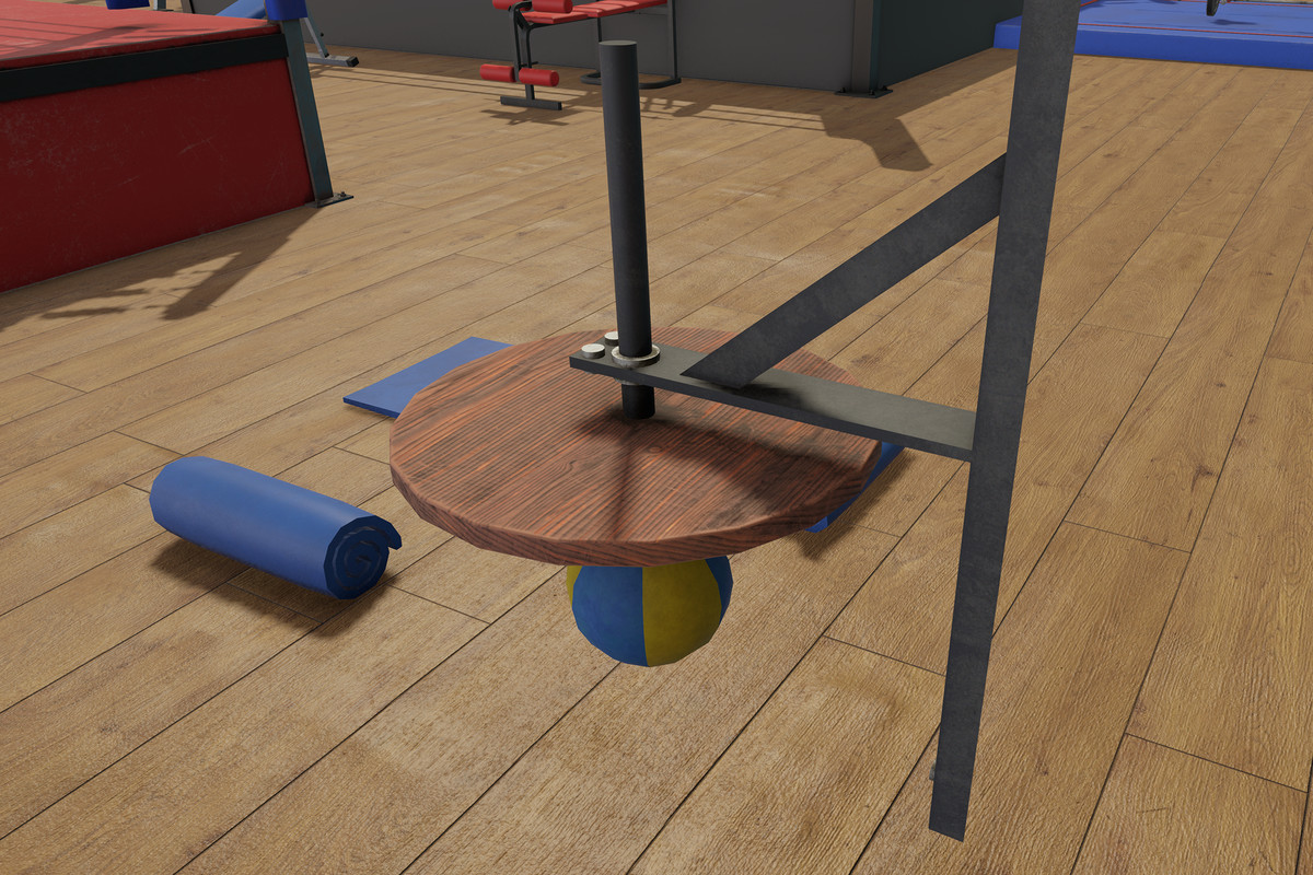 Boxing and Gym Equipment