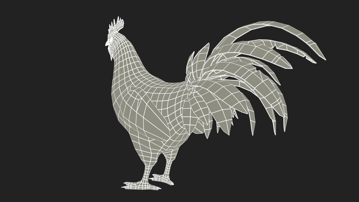 Rooster Animated