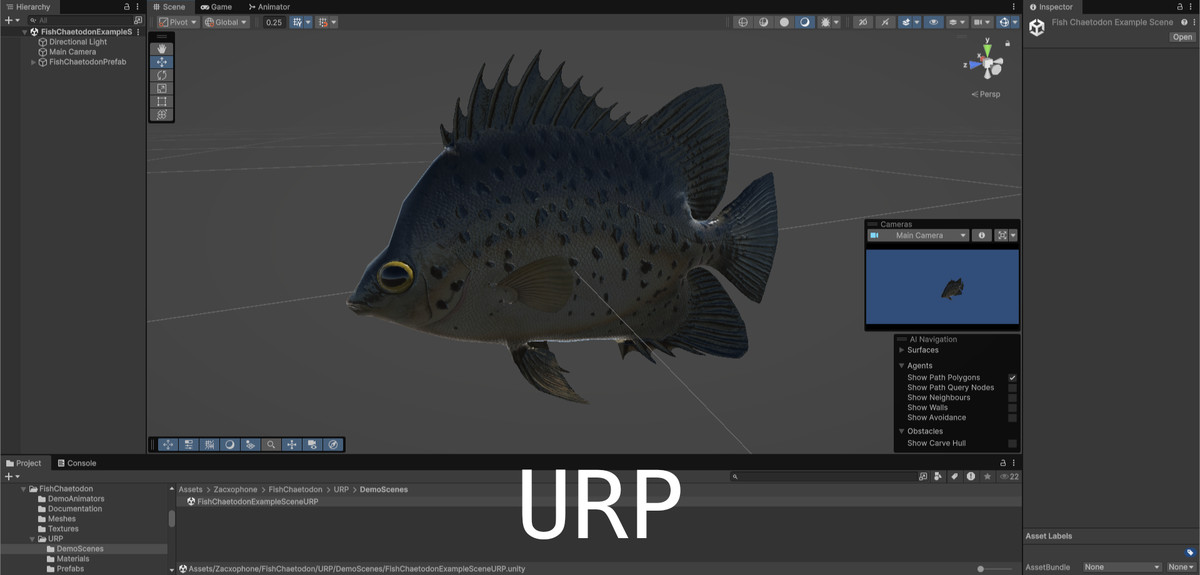 Animated Fish (Chaetodon)