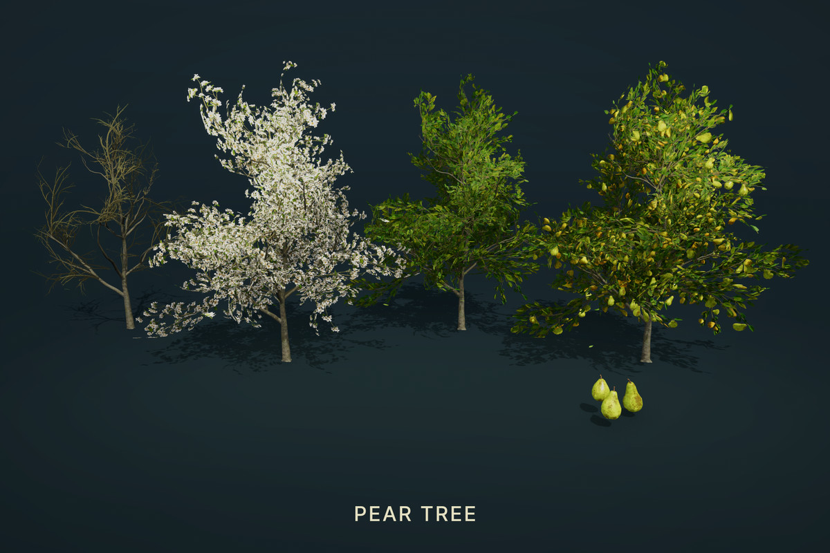Wild Orchard: Fruit Trees