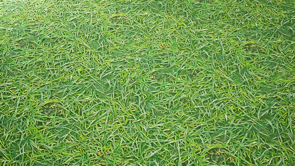 Stylized Materials - Forest Ground 1