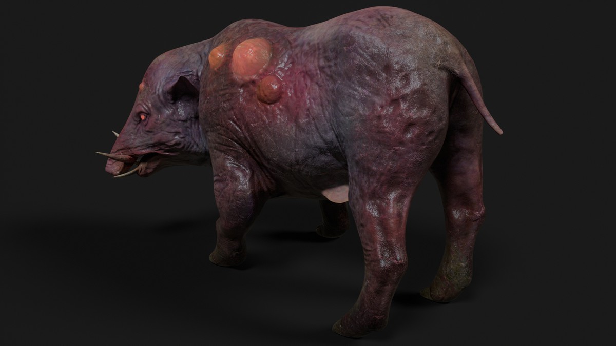 Boar - Mutant Collection