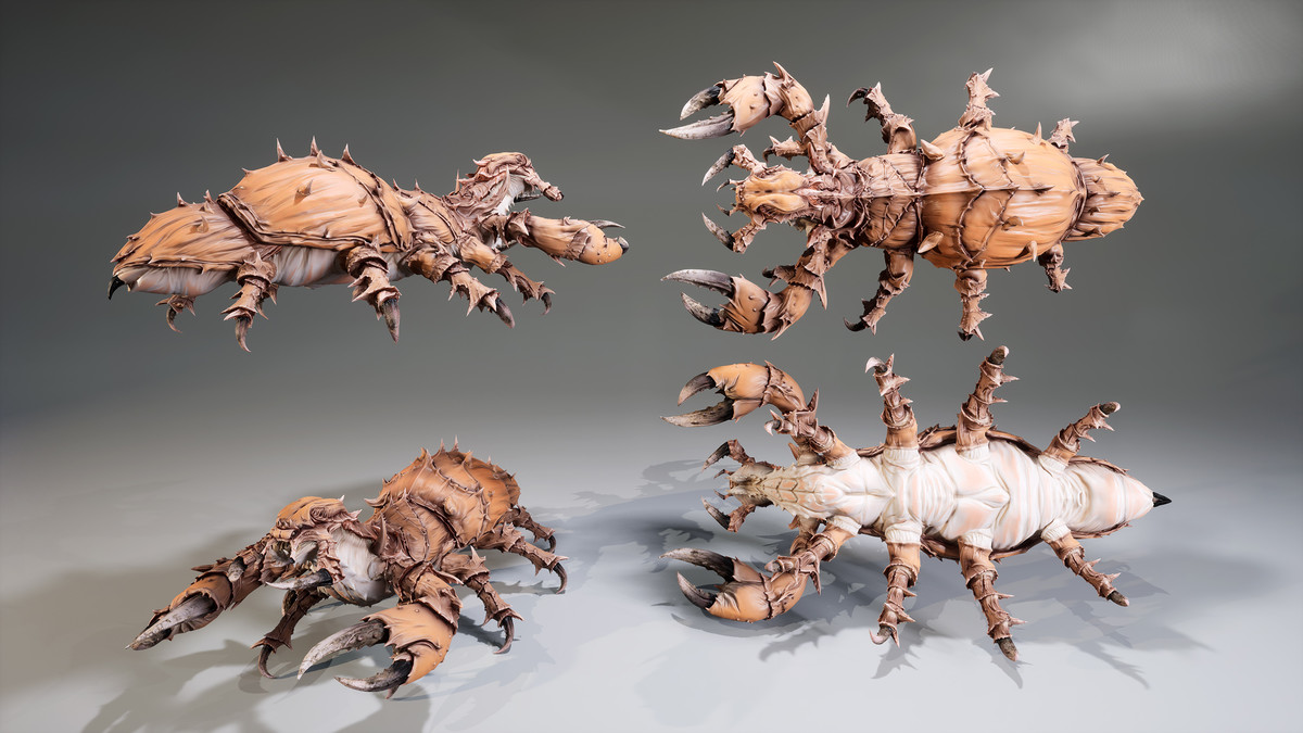 Insect