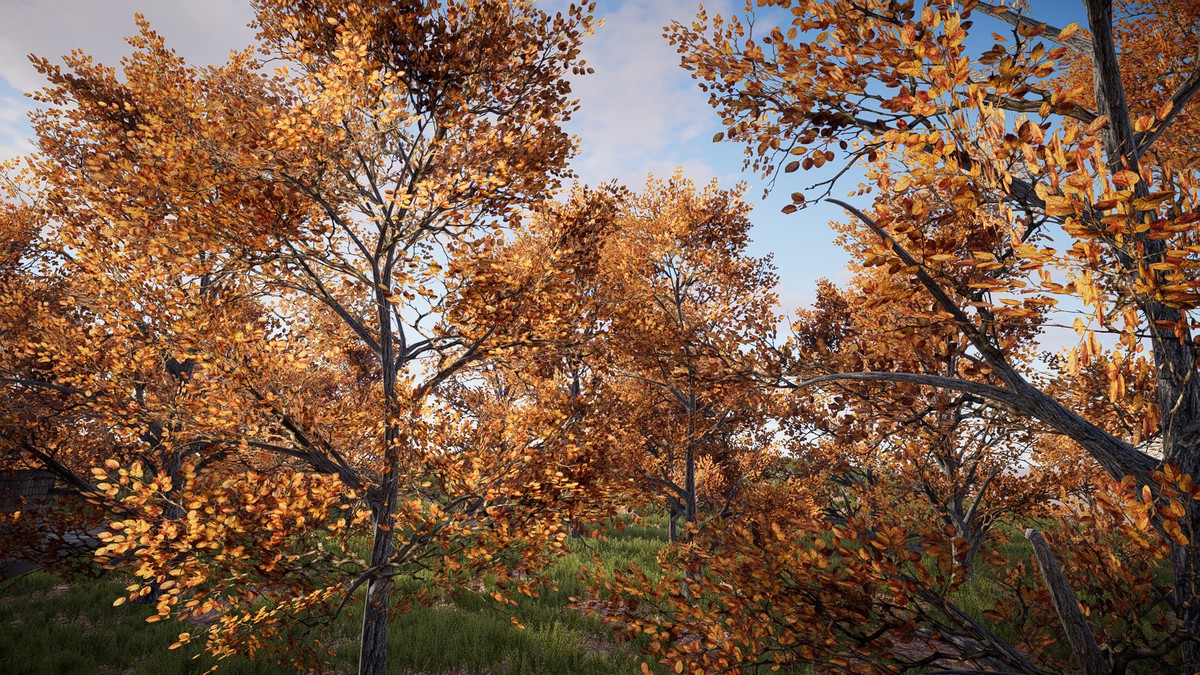 HDRP Tree Bundle 1