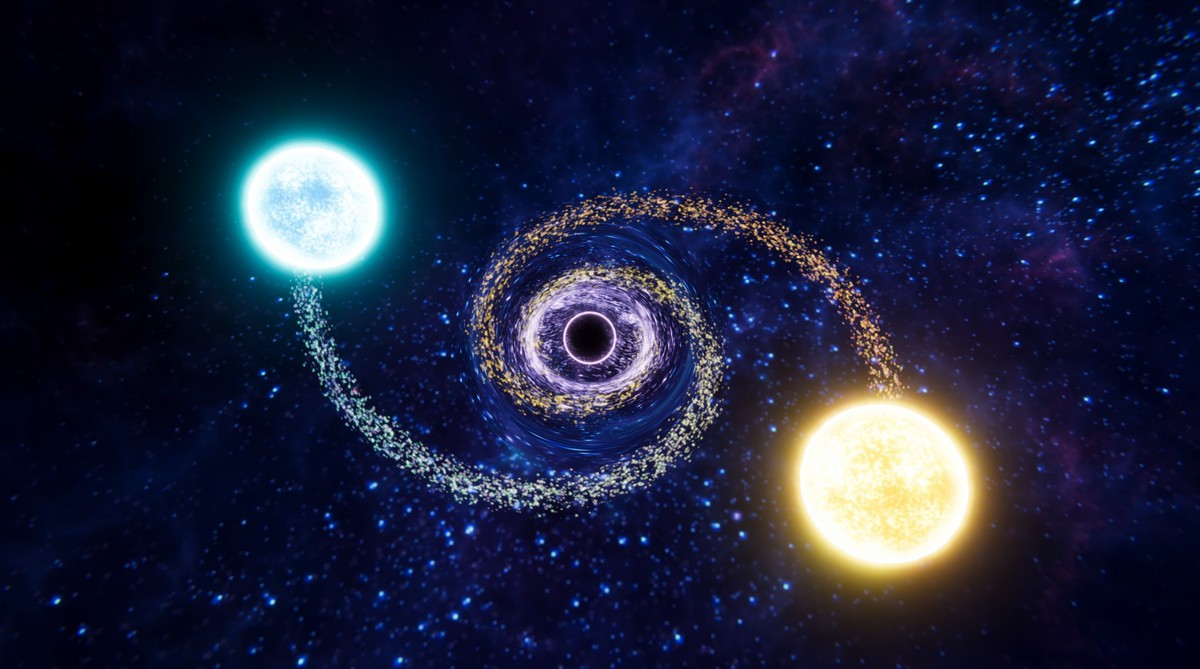 Black Hole Complex