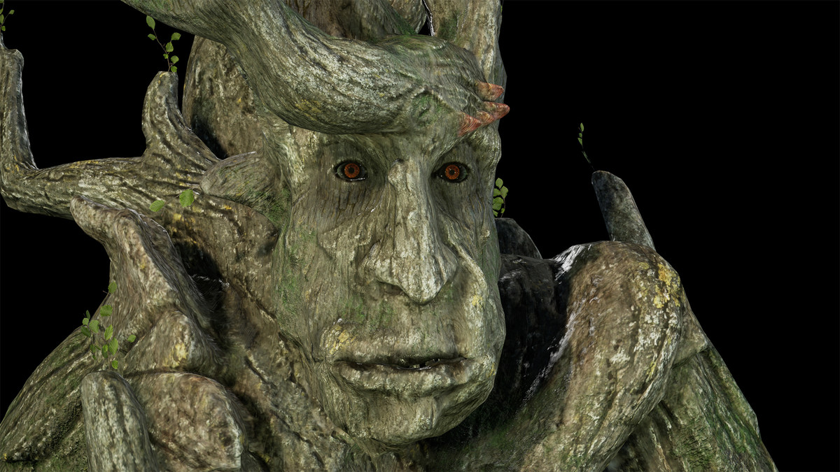 Pack of tree ents