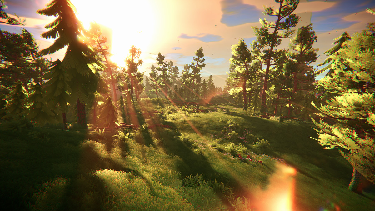 Adventure Nature Vol.6 Forest