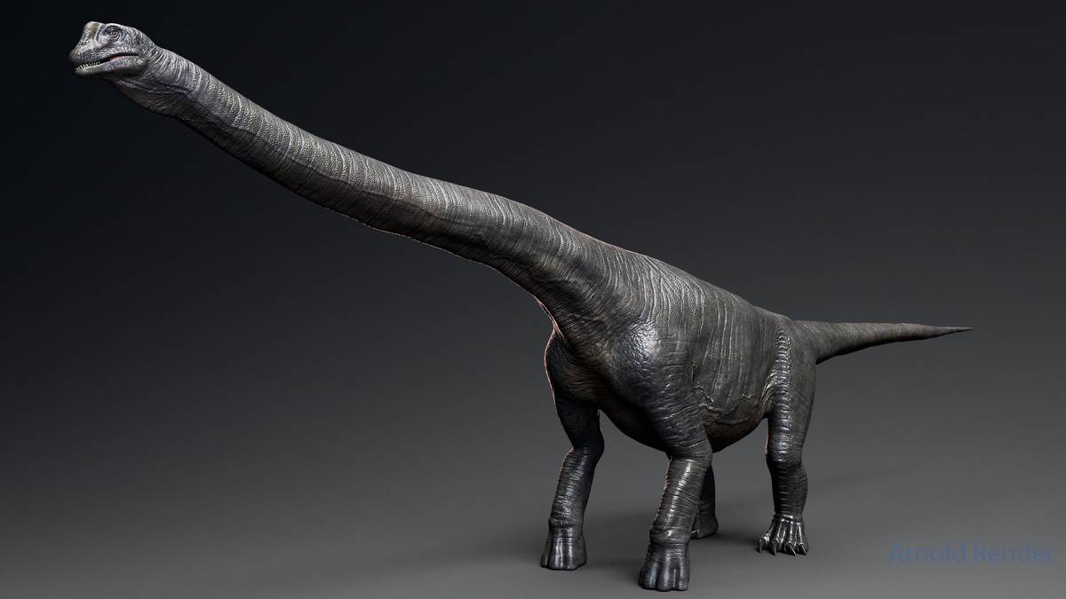 Dinosaur Argentinosaurus Sauropod