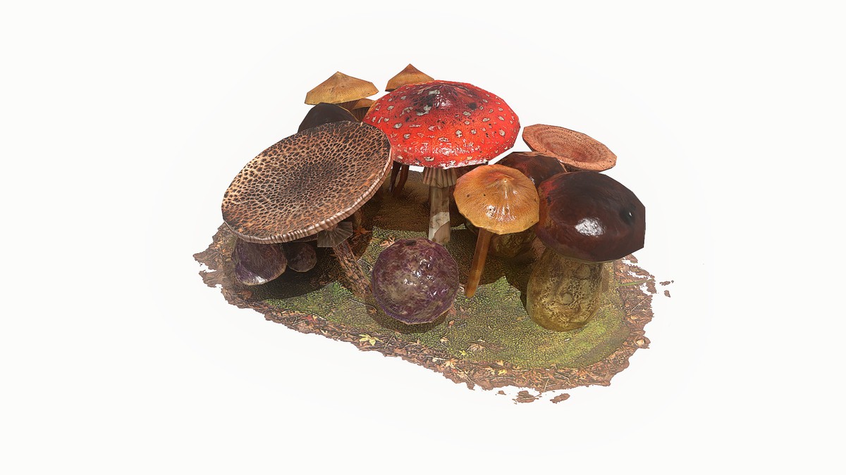 Mushrooms