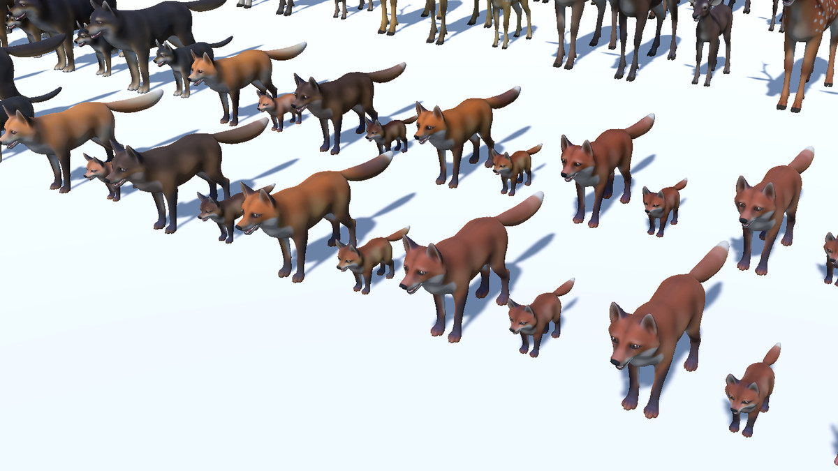 Cartoon Wild Animals