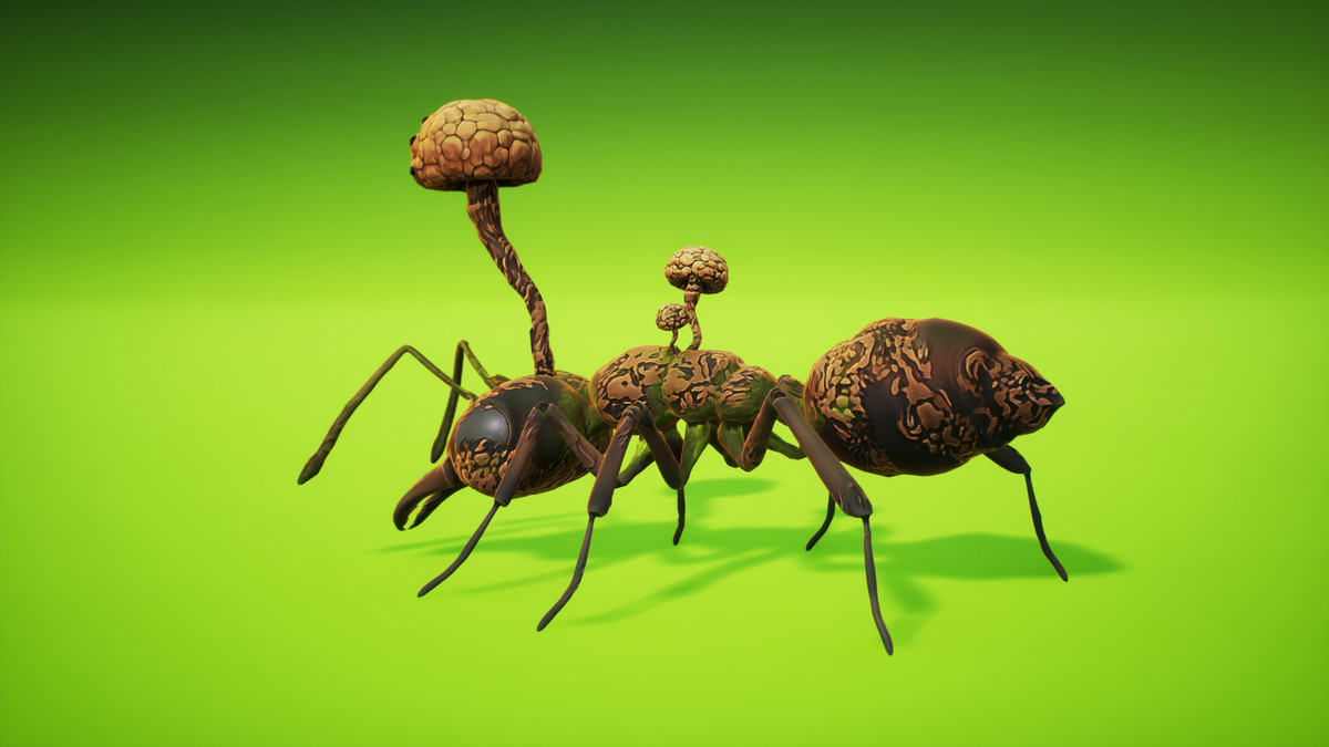 Cordyceps Ant